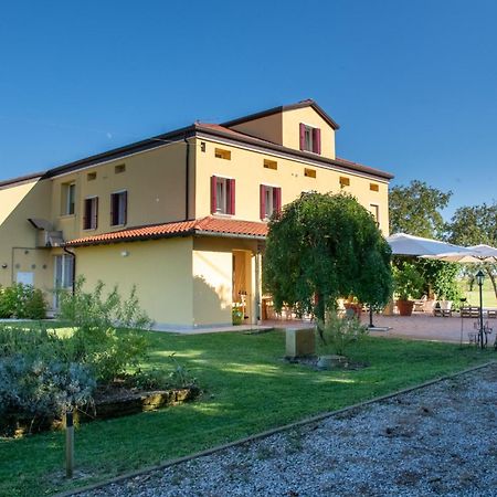 Oasi Casamaras In Veneto With Ac Villa Vigonovo  Exterior photo